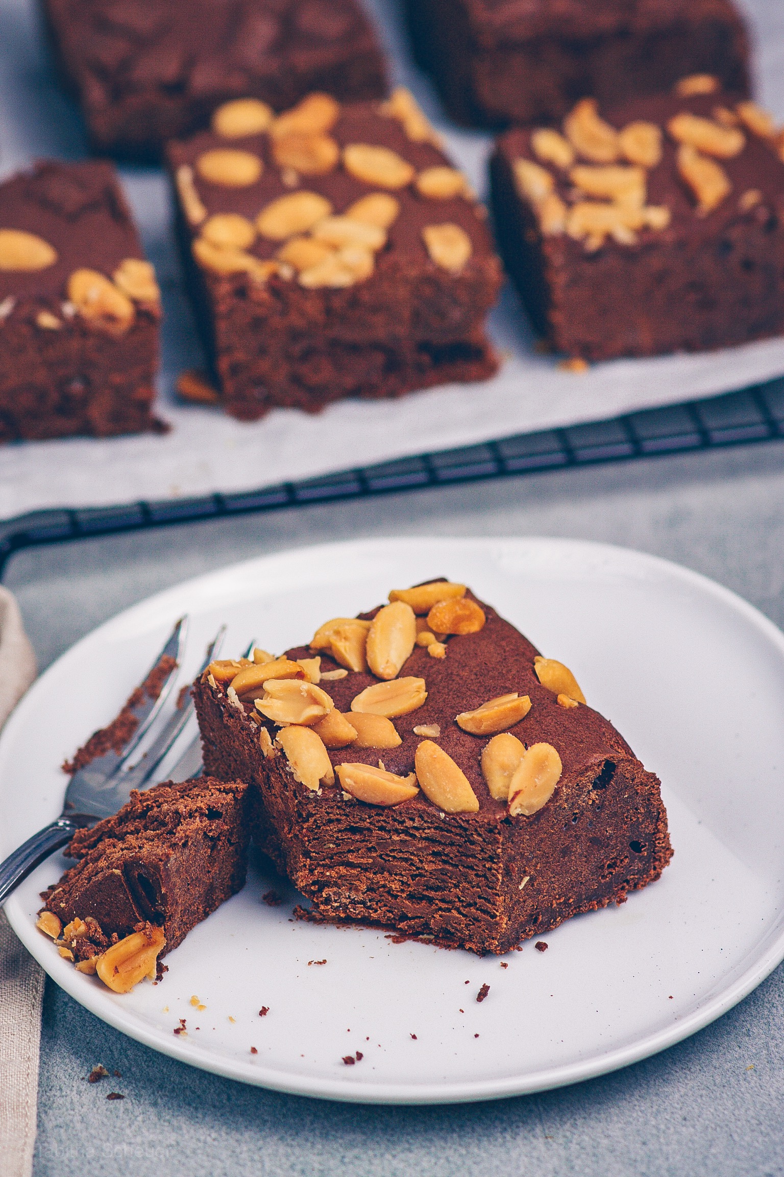 Brownies mit Schoko Chips und gesalzenen Erdnüssen